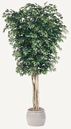 10 Feet Ficus Tree - Natural Trunks - 3,648 Leaves - Green- FIRE RETARDANT