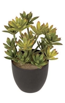10 Inches Potted Plastic Echeveria Plant - Green/Burgundy - 4.75 Inches Black Pot