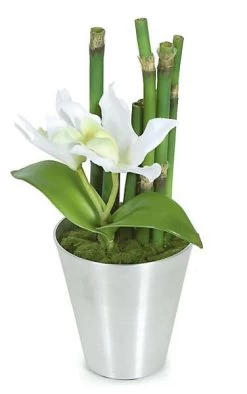 Potted Cattleya Flower And Bamboo In Silver Pot - 2 White Flowers