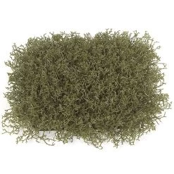 12 Inches X 12 Inches Plastic Indoor/Outdoor Wild Weed Grass Mat