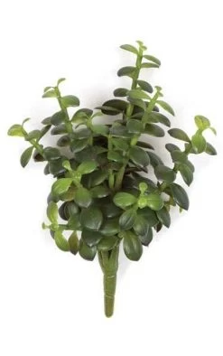 10.5 Inches Plastic Money Plant - Green/Red- FIRE RETARDANT