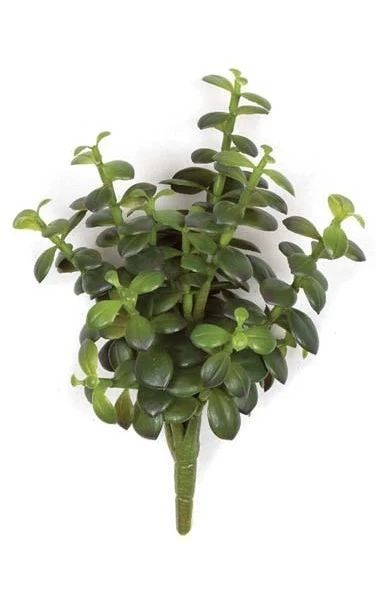 10.5 Inches Plastic Money Plant - Green/Red- FIRE RETARDANT