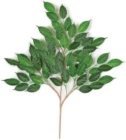 Earthflora's 25 Inch Ifr Ficus Branch (Sold By The Dozen)