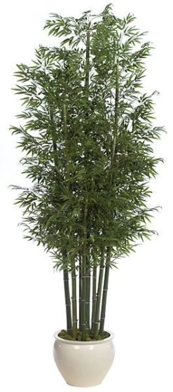 12 Feet Bamboo Palm Cluster - 7 Natural Canes - Tutone Green- FIRE RETARDANT
