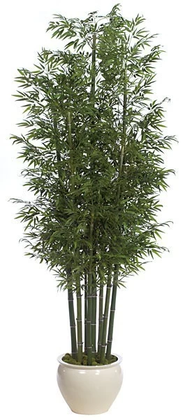 12 Feet Bamboo Palm Cluster - 7 Natural Canes - Tutone Green- FIRE RETARDANT