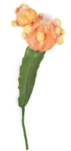 13.5 Inches Plastic Cactus Stem - Green/Orange/Yellow - Bare Stem