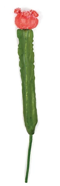 13.5 Inches Plastic Cactus Stem - Green/Red - Bare Stem