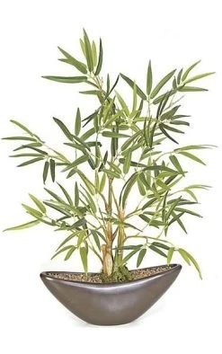 15 Inches Bamboo In Brown Ceramic Pot - 199 Green Leaves