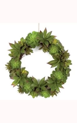 16 Inches Plastic Succulent Twig Wreath - Brown Twig Frame - 9 Inches Inside Diameter