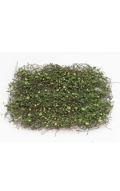 16 Inches X 16 Inches Moss Twig Mat With Leaves - Green