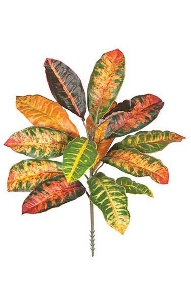 19 Inches Croton Bush - 14 Leaves - Multi-Color - FIRE RETARDANT