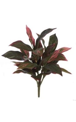 20 Inches Cordyline Plant - 28 Leaves - Fuchsia/Green - Bare Stem