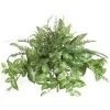 20 Inches X 24 Inches Mixed Foliage Bush