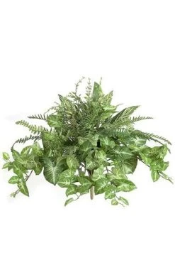 20 Inches X 24 Inches Mixed Foliage Bush