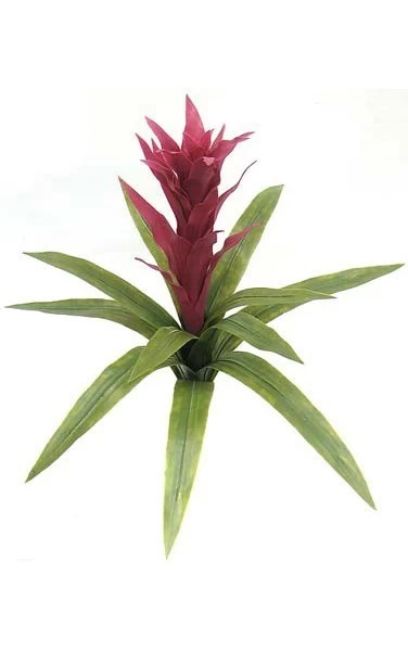 22 Inches Bromeliad - 12 Green Leaves - 19 Inches Width - Image 2