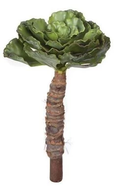 24 Inches Foam Succulent Plant - Green