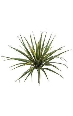 24 Inches Plastic Yucca Bush - 56 Green/Red Edge Leaves