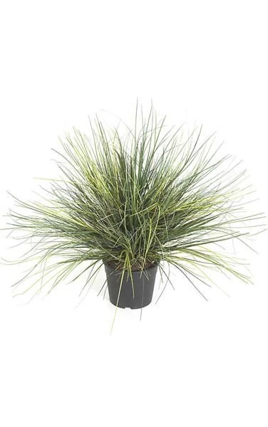 PVC Onion Grass Bush - Green - Weighted Base - Image 2