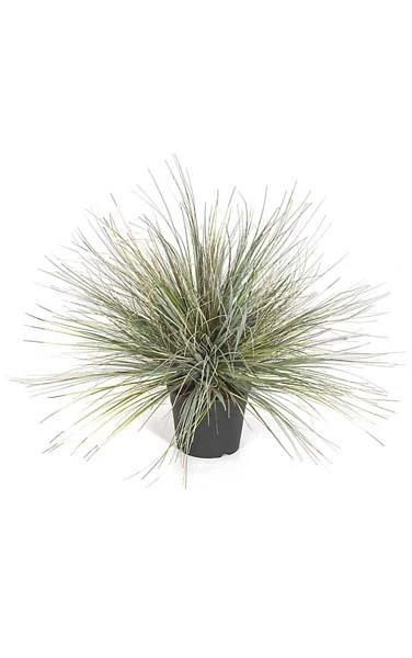 PVC Onion Grass Bush - Grey/Green/Yellow - Weighted Base - Image 2