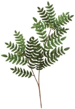 27 Inches Acacia Leaf Branch - 152 Leaves - Green - FIRE RETARDANT