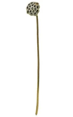 27 Inches Sinigle Lotus Pod Spray - 1 Brown Head - 3.5 Inches Width