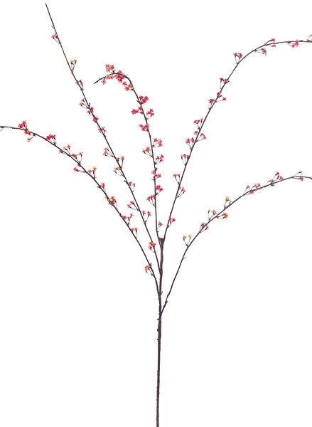 Earthflora's 36 Inch Japanese Serissa Branch