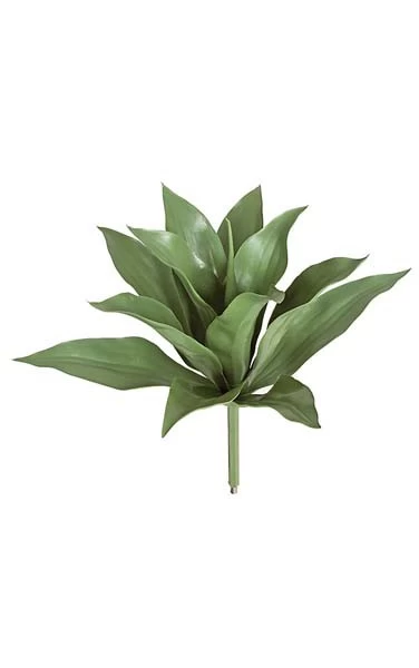 28 Inches Agave Plant - 13 Green Leaves - Bare Stem