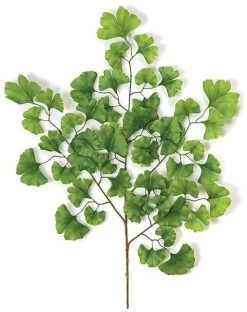 28 Inches Ginkgo Branch - 51 Green Leaves - 21 Inches Width - FIRE RETARDANT