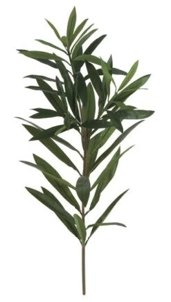 28 Inches Oleander Branch - 55 Light Green/Dark Green Leaves