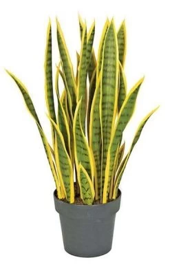 28 Inches Plastic Sansevieria Plant - 27 Yellow/Green Leaves