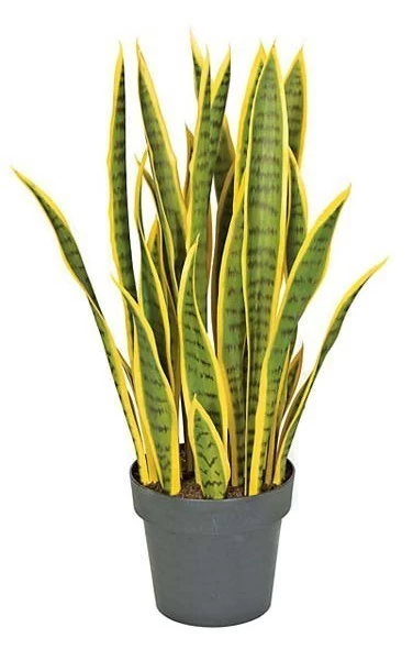 28 Inches Plastic Sansevieria Plant - 27 Yellow/Green Leaves