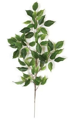 29 Inches Ficus Spray - 75 Green Leaves