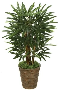 3 Feet Lady Palm - 50 Fronds - Natural Trunks- FIRE RETARDANT