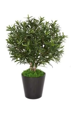 3 Feet Oleander Bush - Natural Wood Trunk- FIRE RETARDANT