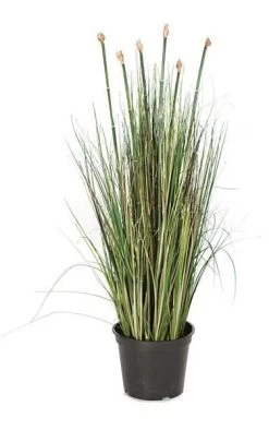 30 Inches PVC Grass Bush With Equisetum - Green - 13 Inches Width