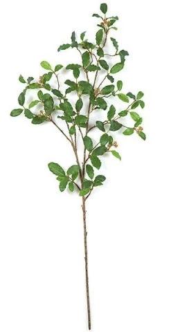 31 Inches Live Oak Branch - 108 Green Leaves - FIRE RETARDANT