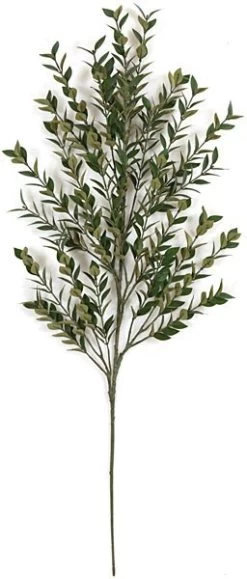 31 Inches Ruscus Branch - 476 Leaves - Green - FIRE RETARDANT