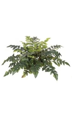 33 Inches Butter Fern - 25 Green Fronds