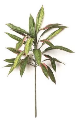 PR-413 34 Inches Cordyline Stem - 24 Leaves - FIRE RETARDANT
