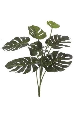 34 Inches Split Leaf Philodendron - 8 Leaves - 26 Inches Width - Green