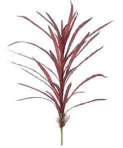 34 Inches Wild Grass Cluster With Roots - 32 Red Leaves - 26 Inches Width