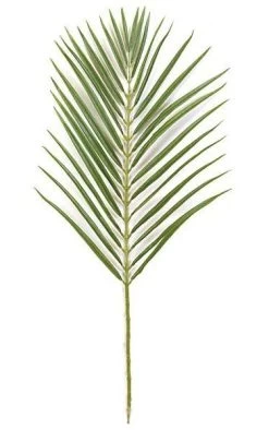 35 Inches Areca Palm Branch - 32 Leaves - Tutone Green Sold By The Dozen