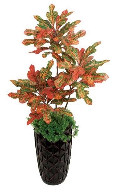 3.5 Feet Croton Bush - 54 Leaves - Multi-Color- FIRE RETARDANT