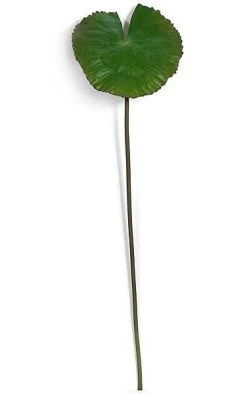 35 Inches Foam Water Lily Spray - 31 Inches Stem - 10 Inches X 9 Inches Green/Spotted Mauve