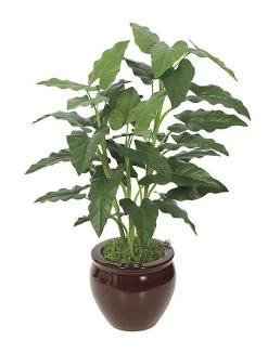 PR-87030 36 Inches Philodendron - Green - Bare Stem - Green - FIRE RETARDANT