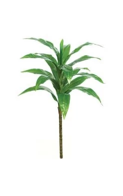 36 Inches Soft Touch Dracaena Tree - 17 Green Leaves - Bare Stem