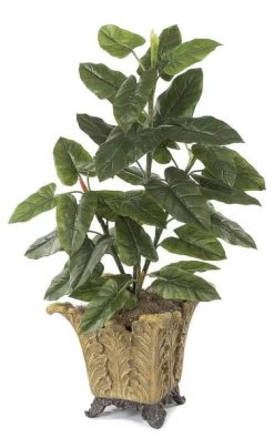 4 Feet Emerald Philodendron Plant - 35 Leaves - Green - Bare Stem