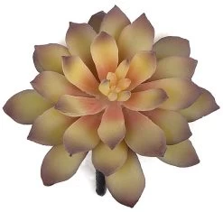 4 Inches Plastic Agave Pick - Tutone Peach/Purple - 2.5 Inches Stem