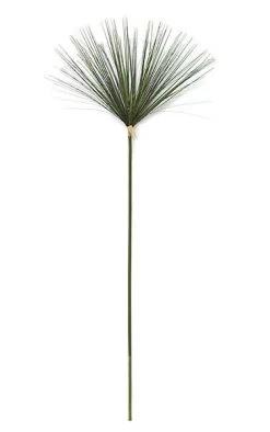 PVC Papyrus Spray - Green