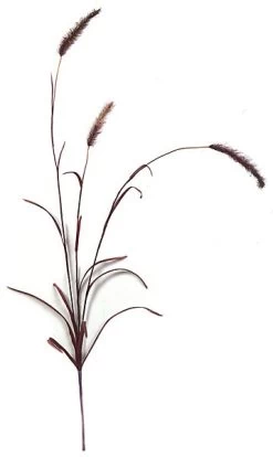 40 Inches Foxtail Spray - Burgundy